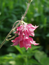 Similar image 146919