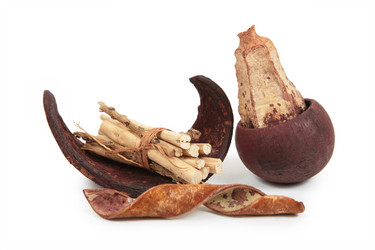 Similar image 146977