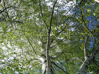 Similar image 147025