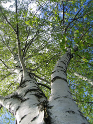 Similar image 147026