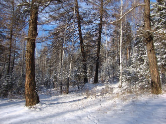 Similar image 147036