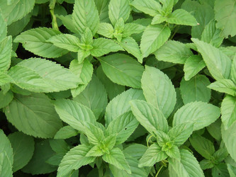 Similar image 147066