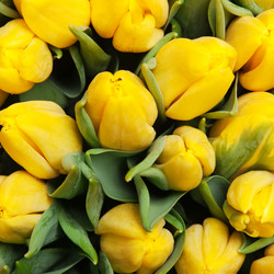 Similar image 147085