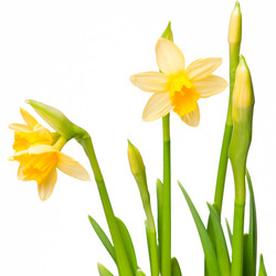 Similar image 147088