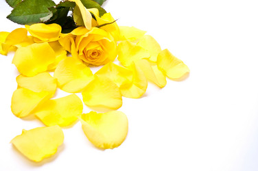 Similar image 147091