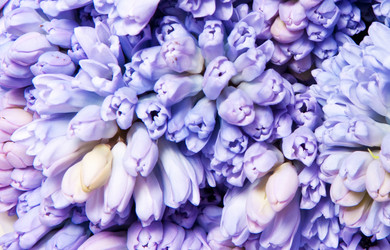 Similar image 147095