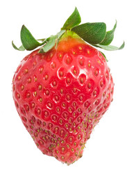 Similar image 147099