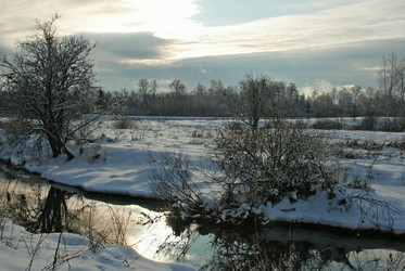 Similar image 147111