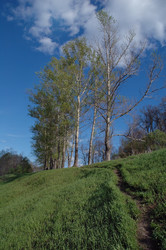 Similar image 147113