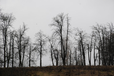 Similar image 147116