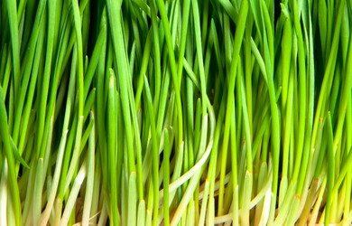 Similar image 147191