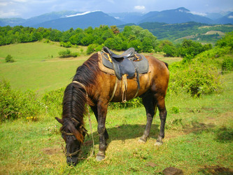 Similar image 147204