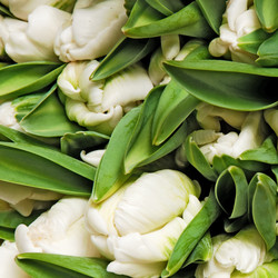 Similar image 147208