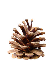 Similar image 147221