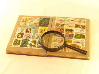 Similar image 147238