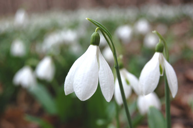 Similar image 147271