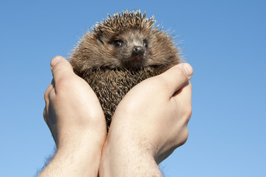 Similar image 147272