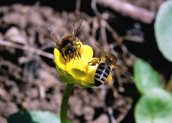 Similar image 147275