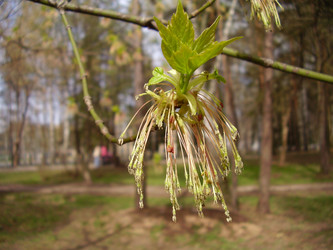 Similar image 147277