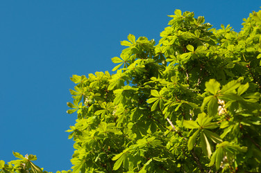 Similar image 147285