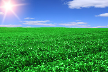 Similar image 147286