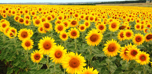 Similar image 147291