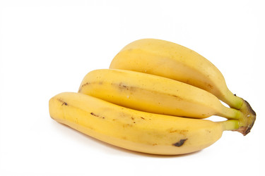 Similar image 147305