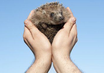 Similar image 147335