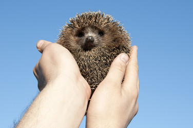 Similar image 147346