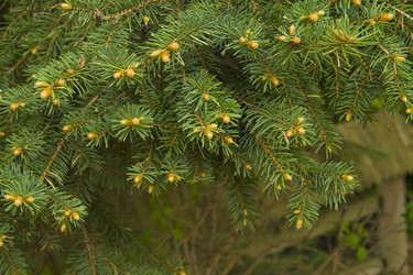 Similar image 147365