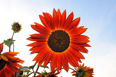 Similar image 147373