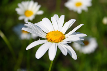 Similar image 147374