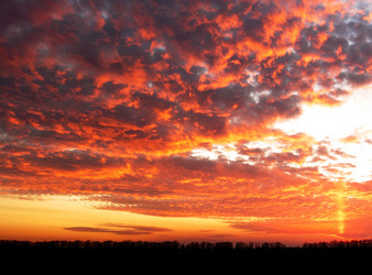 Similar image 147383