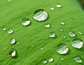 Similar image 147384