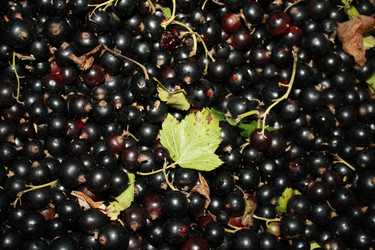 Similar image 147386