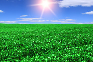 Similar image 147404