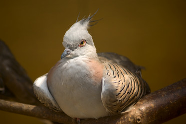 Similar image 147406