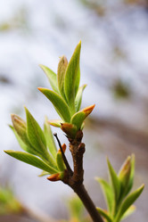 Similar image 147409