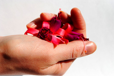 Similar image 147415