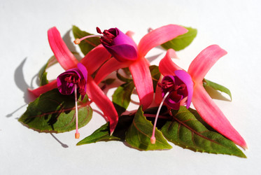 Similar image 147419