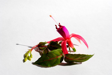 Similar image 147420