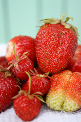 Similar image 147421