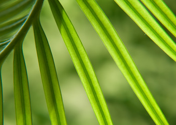 Similar image 147479