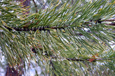 Similar image 147482