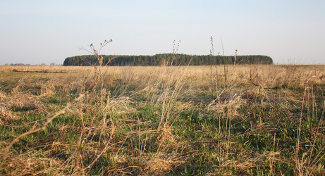 Similar image 147485