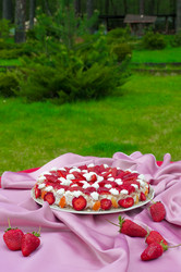 Similar image 147487