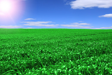 Similar image 147489