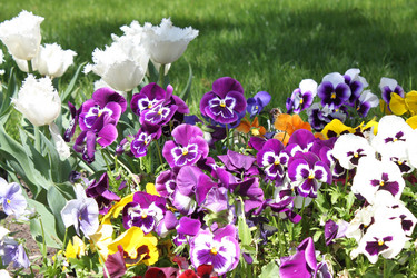 Similar image 147502