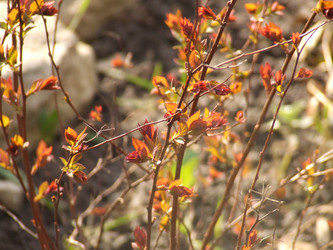 Similar image 147529