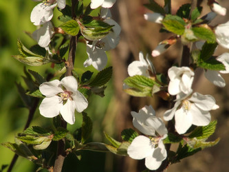 Similar image 147533